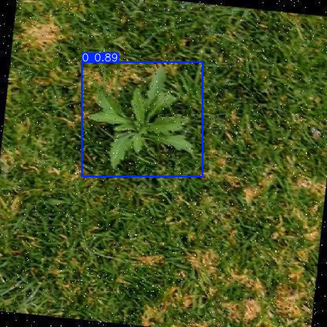 Annotated Image