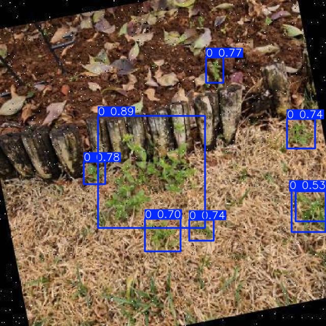Annotated Image