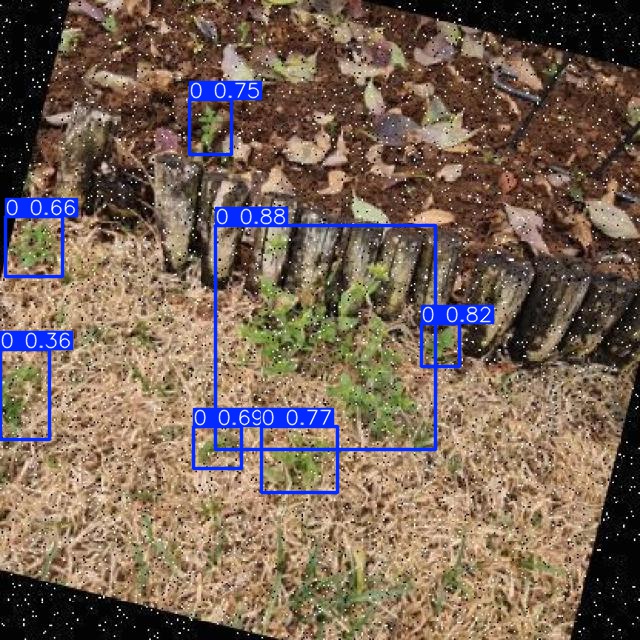 Annotated Image