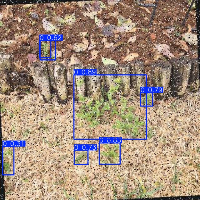 Annotated Image