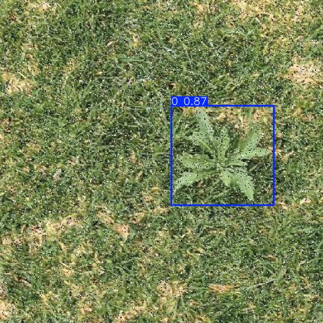 Annotated Image