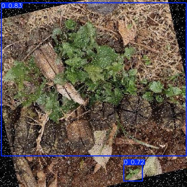 Annotated Image