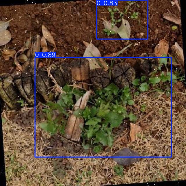 Annotated Image