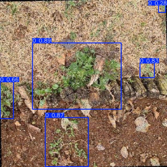 Annotated Image
