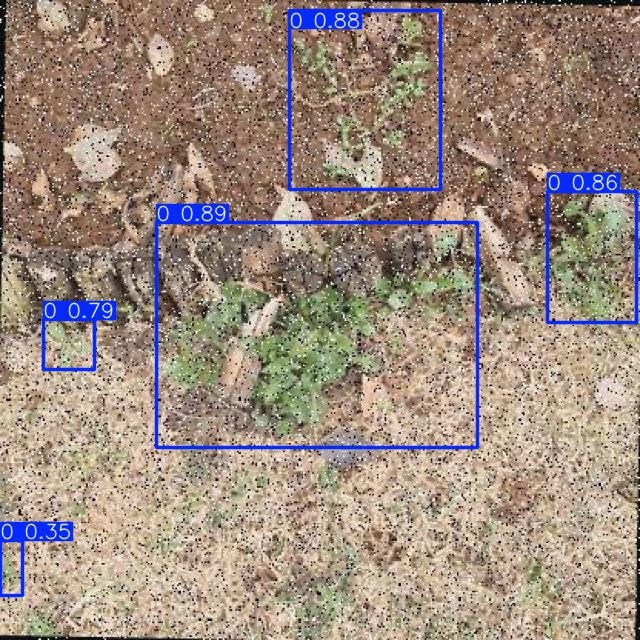 Annotated Image