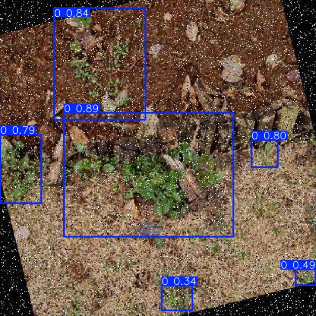 Annotated Image