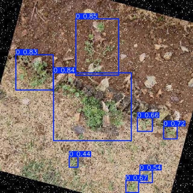 Annotated Image