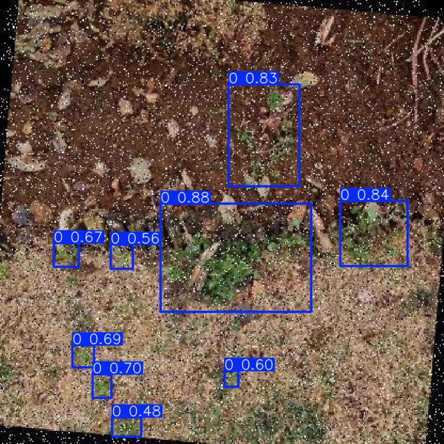 Annotated Image