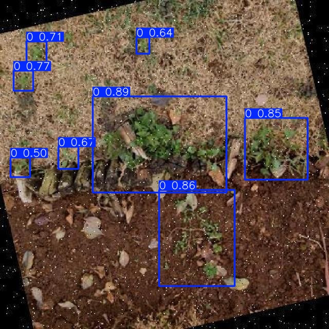 Annotated Image