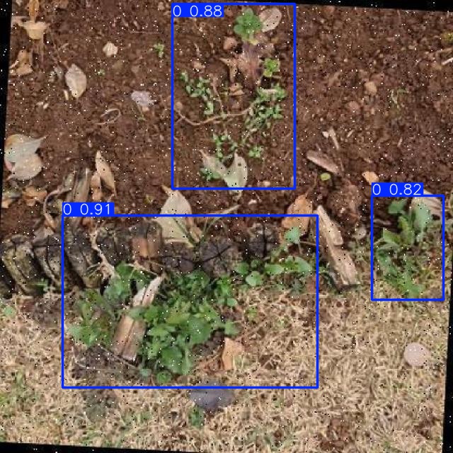 Annotated Image