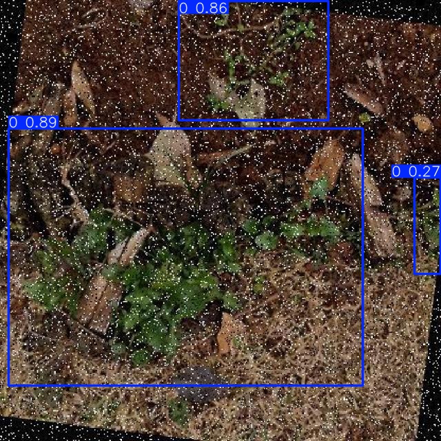 Annotated Image