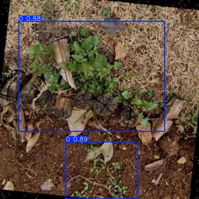 Annotated Image