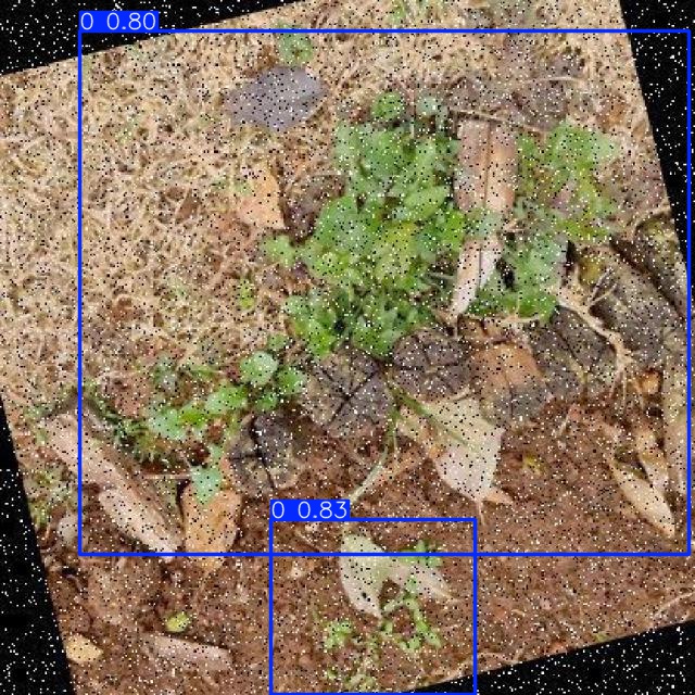 Annotated Image