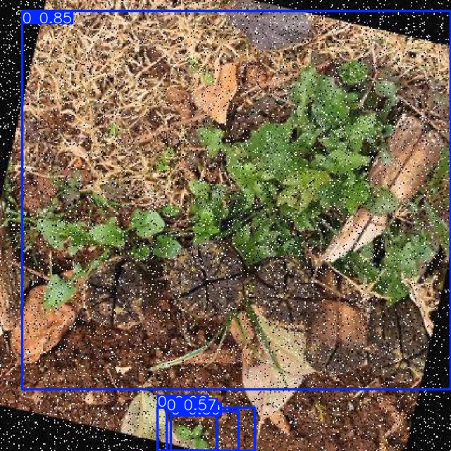 Annotated Image