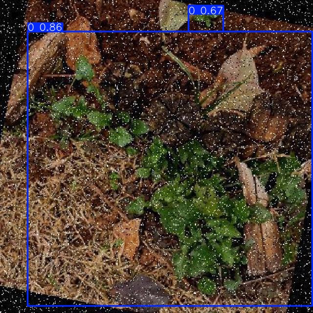 Annotated Image