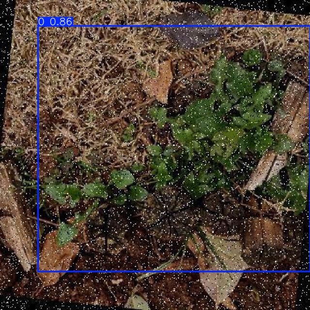 Annotated Image