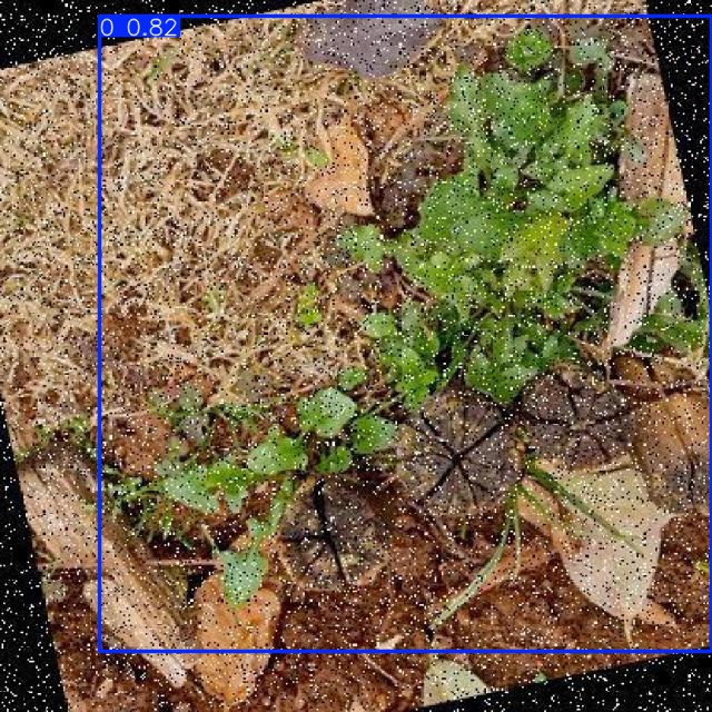 Annotated Image