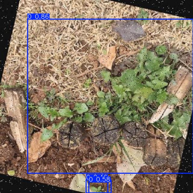 Annotated Image
