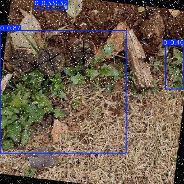 Annotated Image