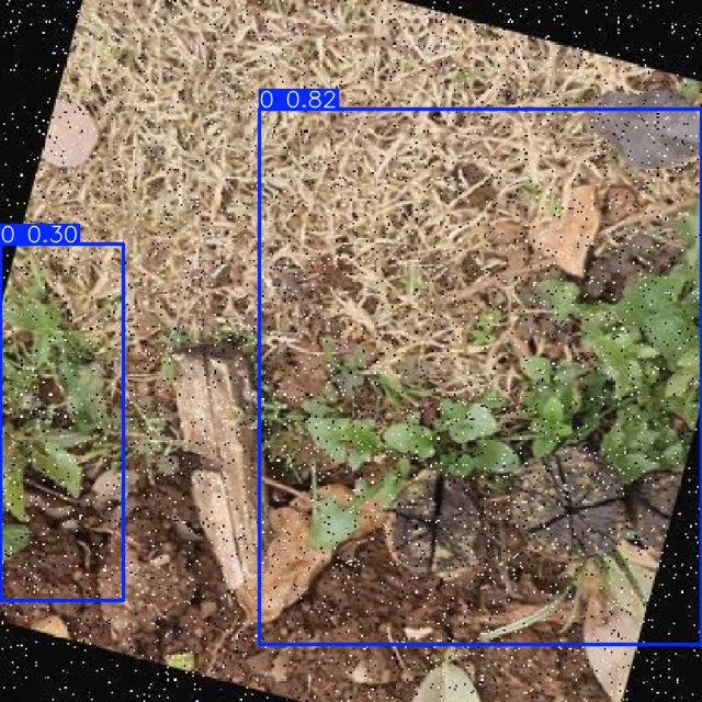 Annotated Image