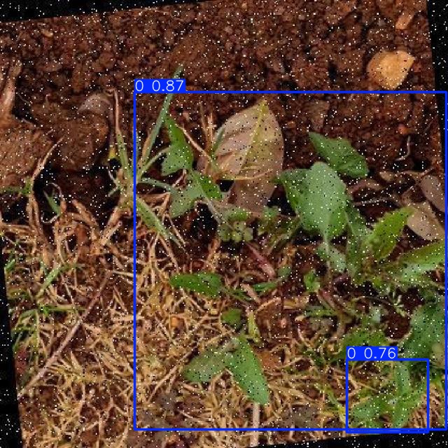 Annotated Image