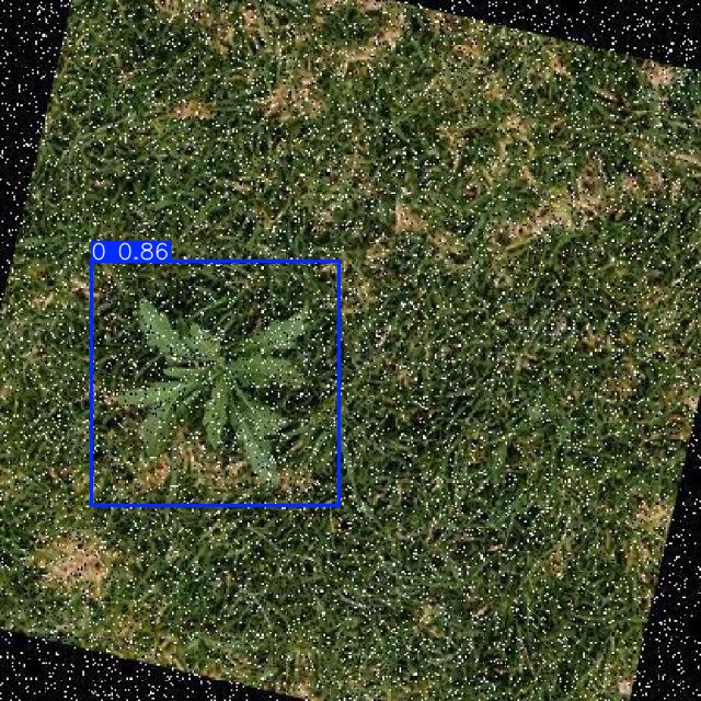 Annotated Image