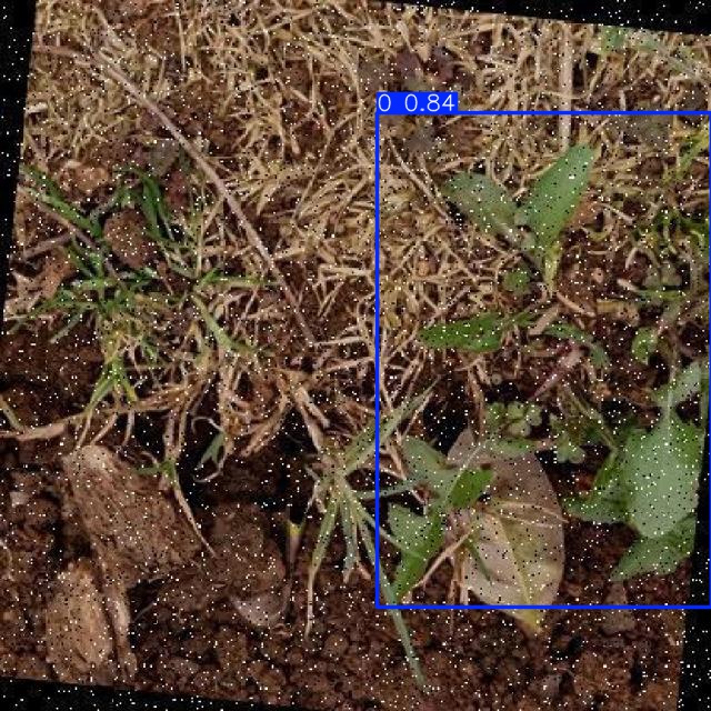 Annotated Image