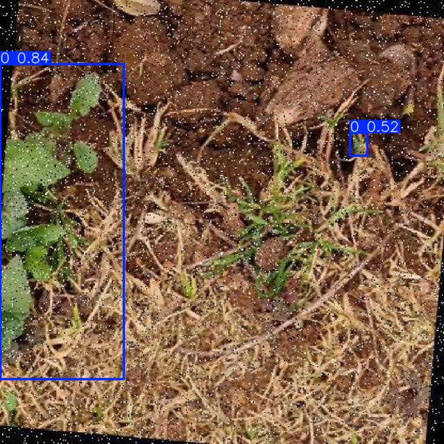 Annotated Image