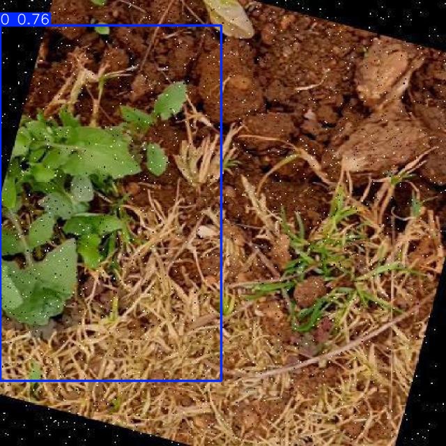 Annotated Image