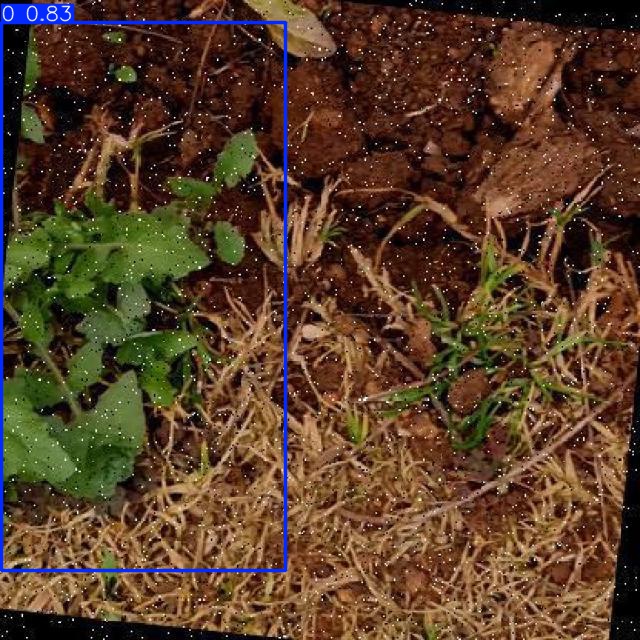 Annotated Image