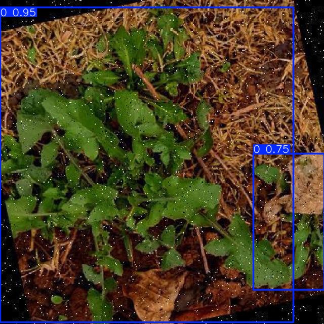 Annotated Image