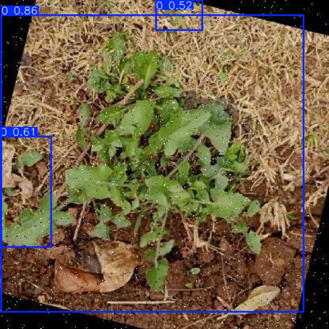 Annotated Image