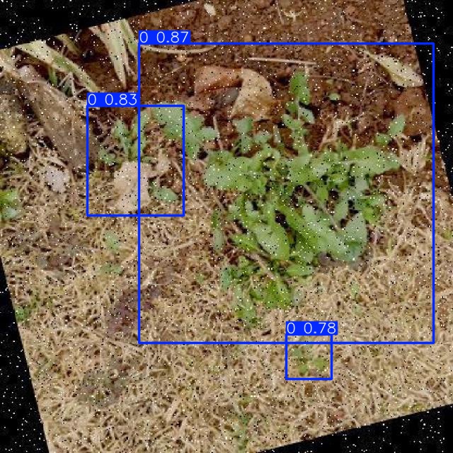 Annotated Image