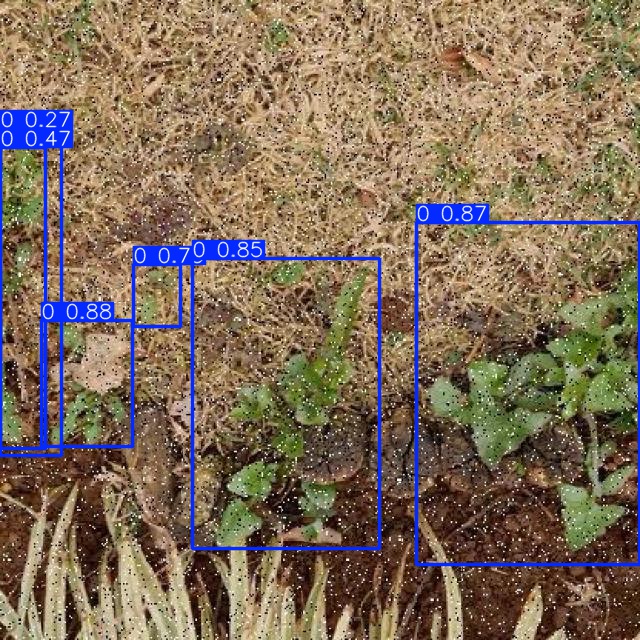 Annotated Image