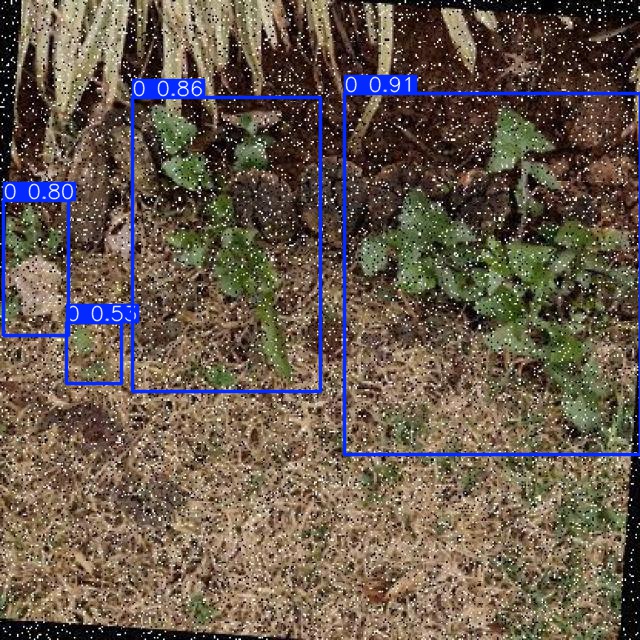 Annotated Image