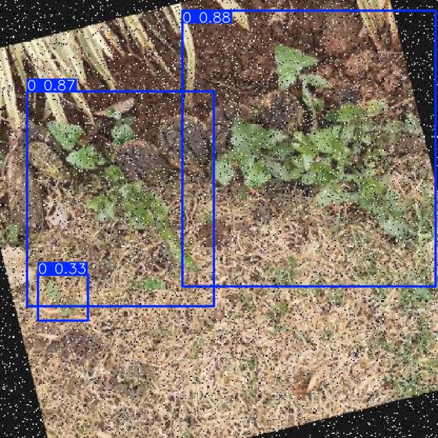 Annotated Image