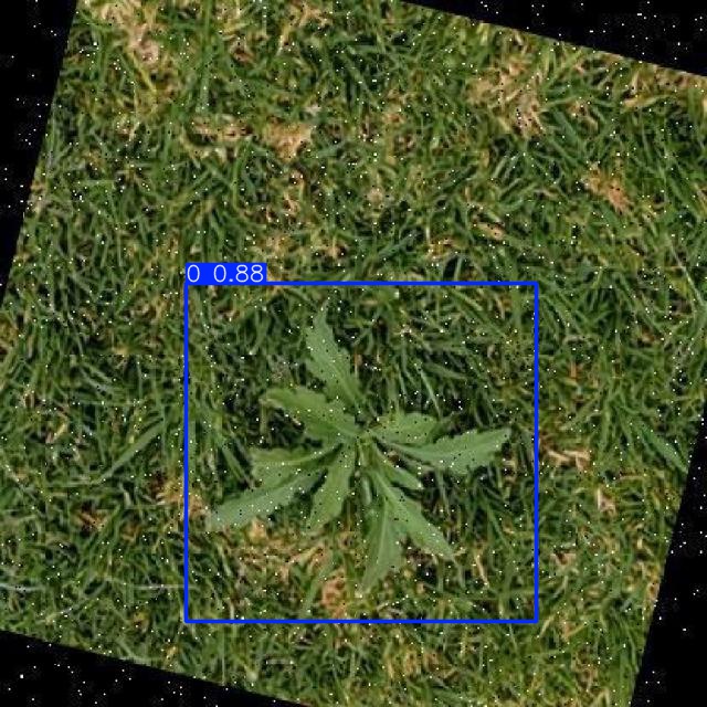 Annotated Image