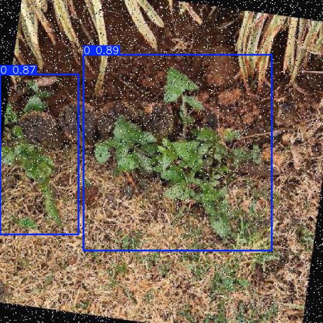Annotated Image