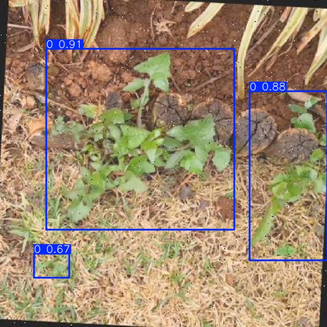 Annotated Image