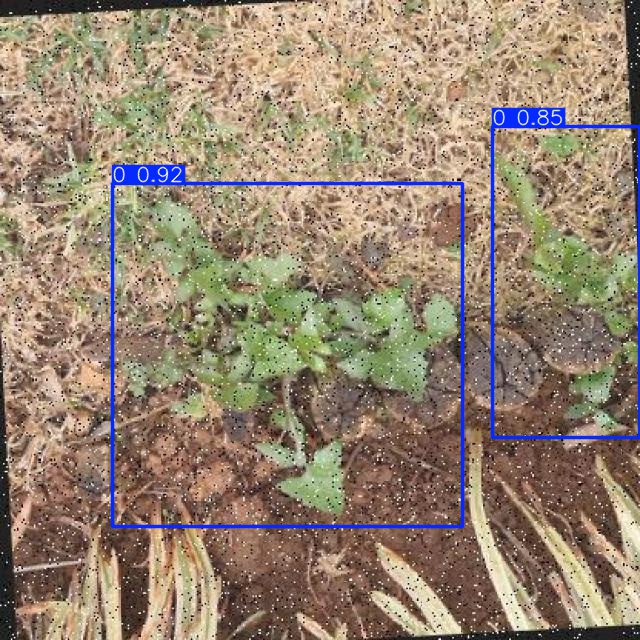 Annotated Image