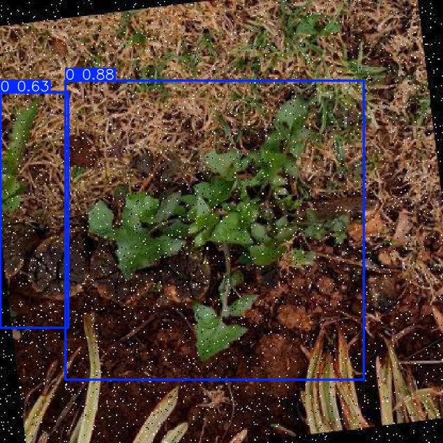 Annotated Image