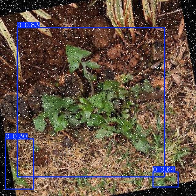 Annotated Image