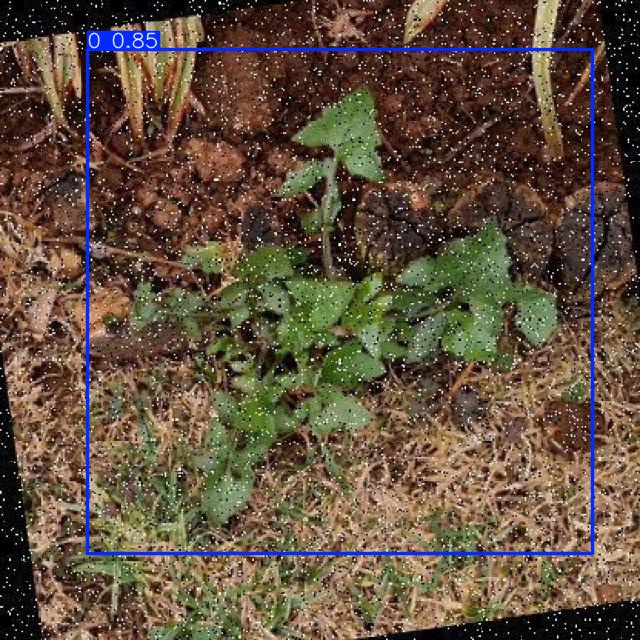 Annotated Image