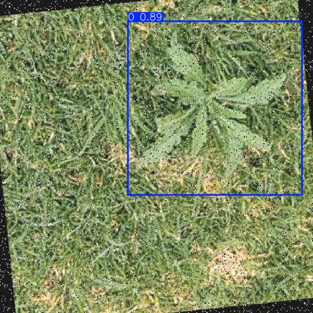 Annotated Image