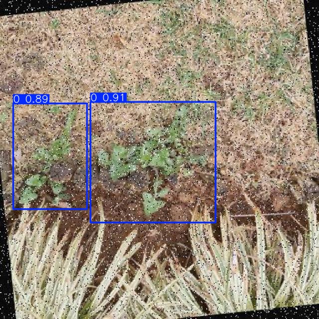 Annotated Image
