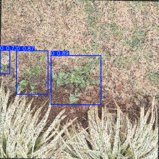 Annotated Image