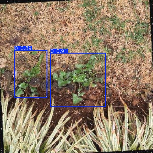 Annotated Image