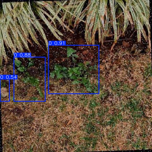Annotated Image