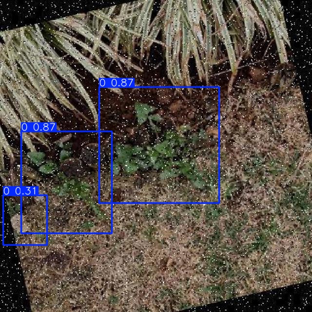 Annotated Image