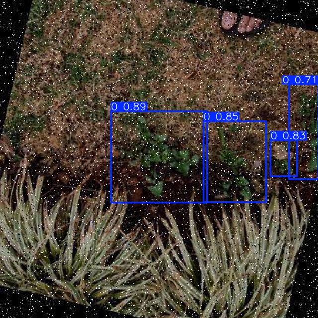 Annotated Image